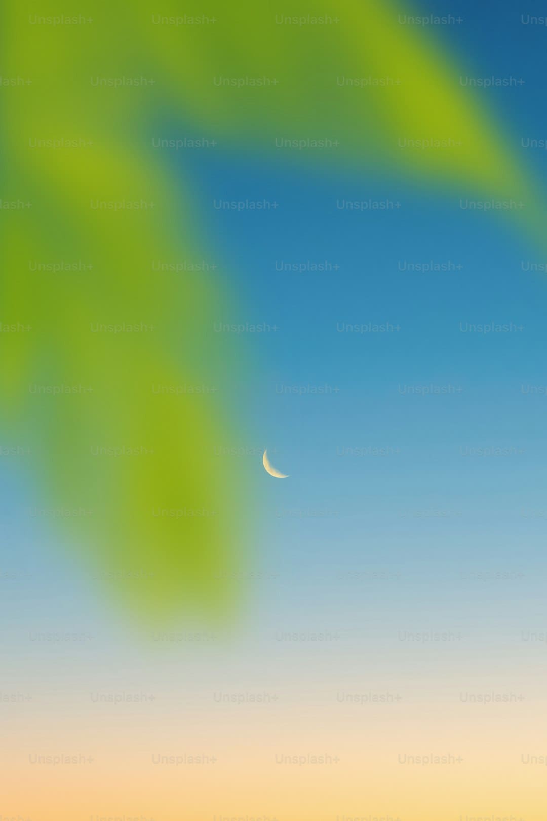 在鲤城发动！这场阛阓太热烈！