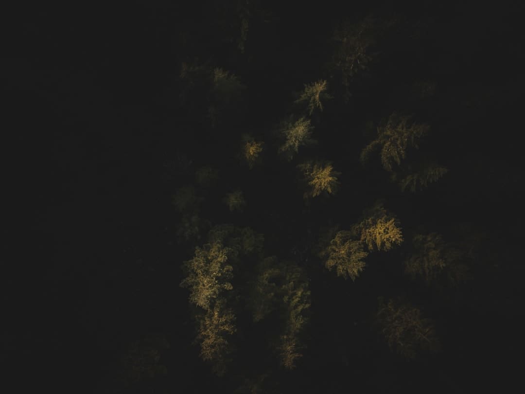 确认了！周华健4月在长沙开唱